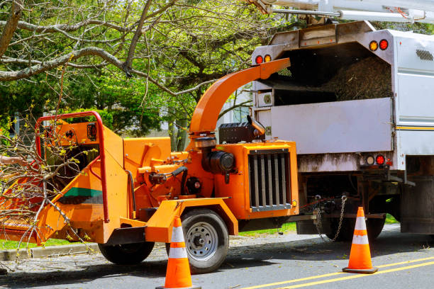  Wilmington, DE Tree Services Pros